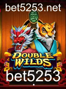 DoubleWilds: A Nova Sensação no Universo dos Jogos